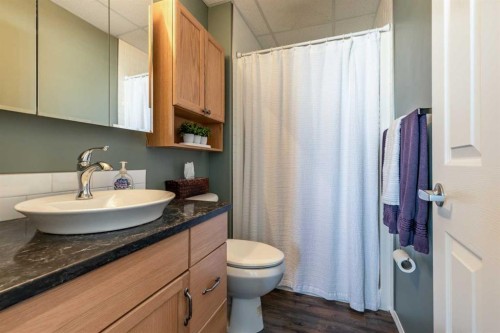 209-105 Main Street South, Redcliff, AB - Indoor Photo Showing Bathroom