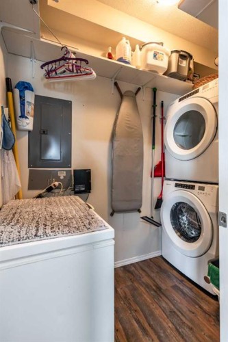 209-105 Main Street South, Redcliff, AB - Indoor Photo Showing Laundry Room