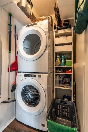 209-105 Main Street South, Redcliff, AB - Indoor Photo Showing Laundry Room