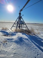 Township Road 122  Rural Forty Mile No. 8, County Of, AB T0J 3L0