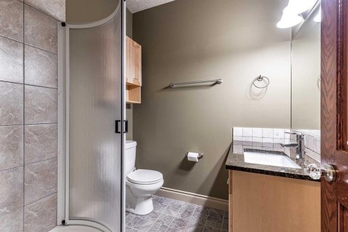 770 Eagle Ridge Drive, Dunmore, AB - Indoor Photo Showing Bathroom