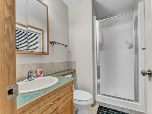 9 Riverview Green Se, Redcliff, AB - Indoor Photo Showing Bathroom