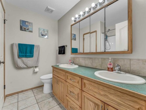 9 Riverview Green Se, Redcliff, AB - Indoor Photo Showing Bathroom