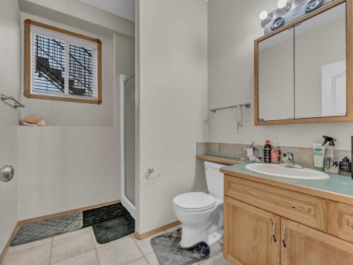 9 Riverview Green Se, Redcliff, AB - Indoor Photo Showing Bathroom
