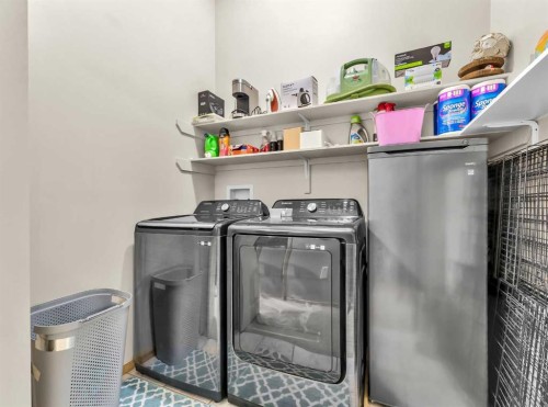 9 Riverview Green Se, Redcliff, AB - Indoor Photo Showing Laundry Room