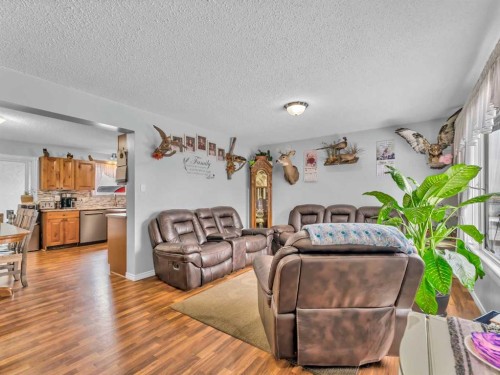 12002 Range Road 65, Rural Cypress County, AB - Indoor Photo Showing Living Room