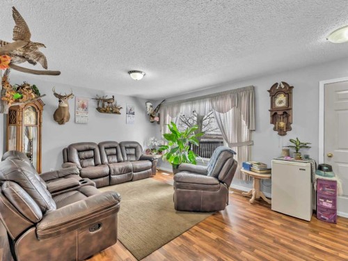 12002 Range Road 65, Rural Cypress County, AB - Indoor Photo Showing Living Room