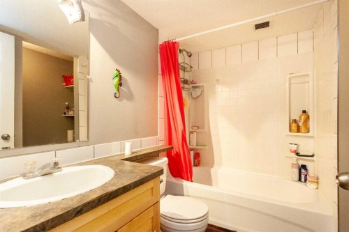 207B-295 Columbia Boulevard West, Lethbridge, AB - Indoor Photo Showing Bathroom