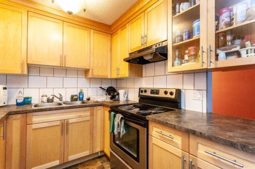 207B-295 Columbia Boulevard West, Lethbridge, AB - Indoor Photo Showing Kitchen With Double Sink