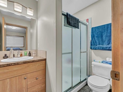 634 Industrial Avenue Se, Medicine Hat, AB - Indoor Photo Showing Bathroom