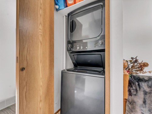 30-459 Carry Drive Se, Medicine Hat, AB - Indoor Photo Showing Laundry Room