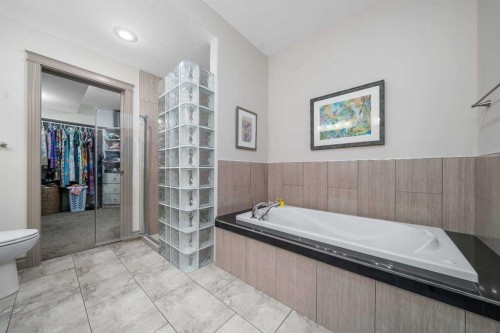 30 Palisades Mews Ne, Medicine Hat, AB - Indoor Photo Showing Bathroom