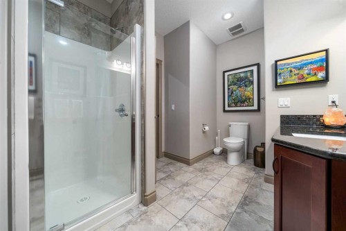 30 Palisades Mews Ne, Medicine Hat, AB - Indoor Photo Showing Bathroom