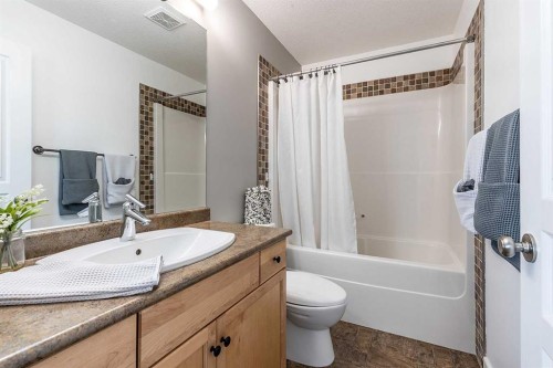 137 Ranchlands Boulevard Ne, Medicine Hat, AB - Indoor Photo Showing Bathroom