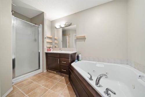 20 Cottonwood Close Sw, Medicine Hat, AB - Indoor Photo Showing Bathroom