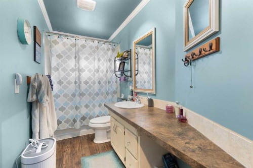 721 4 Avenue, Dunmore, AB - Indoor Photo Showing Bathroom