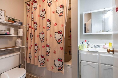 201 5 Street Se, Medicine Hat, AB - Indoor Photo Showing Bathroom