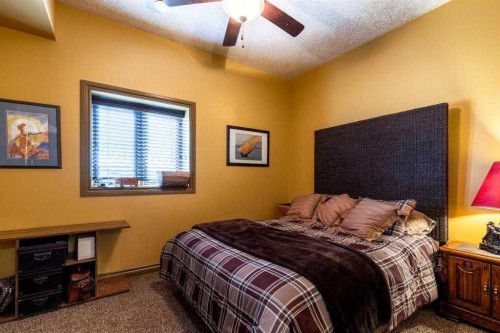 21468 Range Road 13, Bindloss, AB - Indoor Photo Showing Bedroom