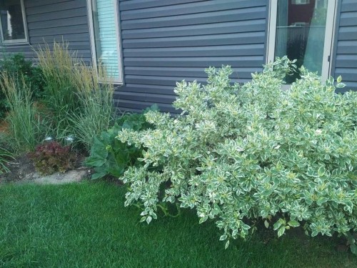 324 Ranchview Court Ne, Medicine Hat, AB - Outdoor