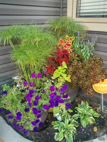 324 Ranchview Court Ne, Medicine Hat, AB - Outdoor