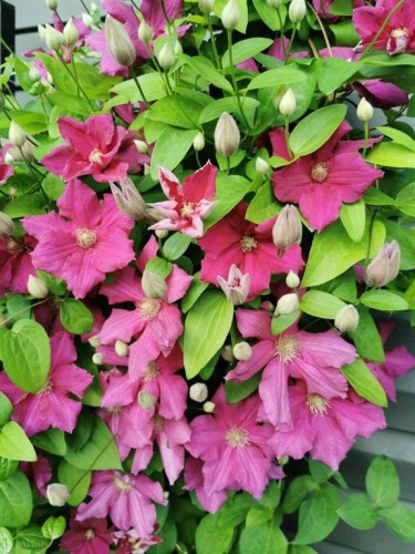 324 Ranchview Court Ne, Medicine Hat, AB - Outdoor