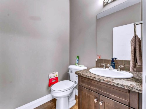 41 Somerside Gate Se, Medicine Hat, AB - Indoor Photo Showing Bathroom