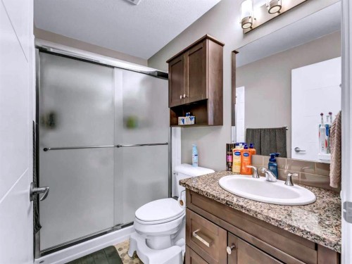 41 Somerside Gate Se, Medicine Hat, AB - Indoor Photo Showing Bathroom