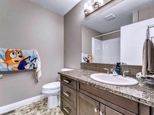 41 Somerside Gate Se, Medicine Hat, AB - Indoor Photo Showing Bathroom