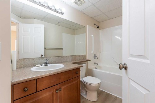 307-29 River Ridge Drive Nw, Medicine Hat, AB - Indoor Photo Showing Bathroom
