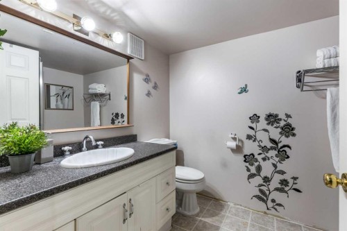512 11 Street, Dunmore, AB - Indoor Photo Showing Bathroom