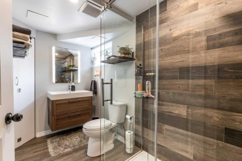 2666 16 Avenue Se, Medicine Hat, AB - Indoor Photo Showing Bathroom