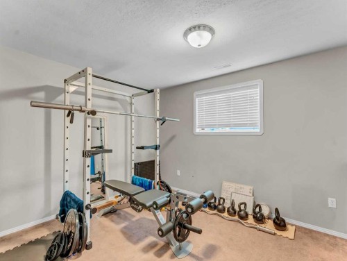 135 Sage Close Se, Medicine Hat, AB - Indoor Photo Showing Gym Room