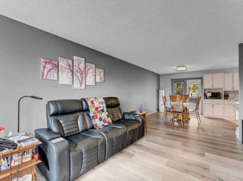 2 Rae Crescent Se, Medicine Hat, AB - Indoor Photo Showing Living Room