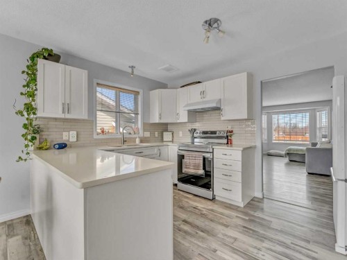 416 Redcliff Way Se, Redcliff, AB - Indoor Photo Showing Kitchen With Upgraded Kitchen