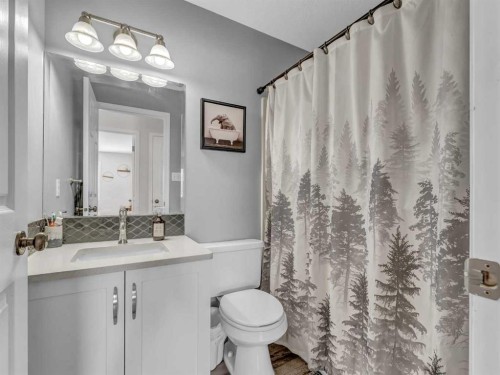 416 Redcliff Way Se, Redcliff, AB - Indoor Photo Showing Bathroom