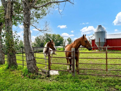 12228 Range Road 64, Rural Cypress County, AB - Outdoor