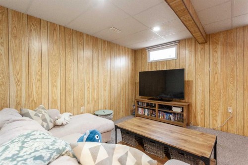 112 Railway Avenue West, Schuler, AB - Indoor Photo Showing Basement