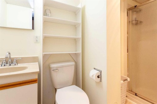 112 Railway Avenue West, Schuler, AB - Indoor Photo Showing Bathroom