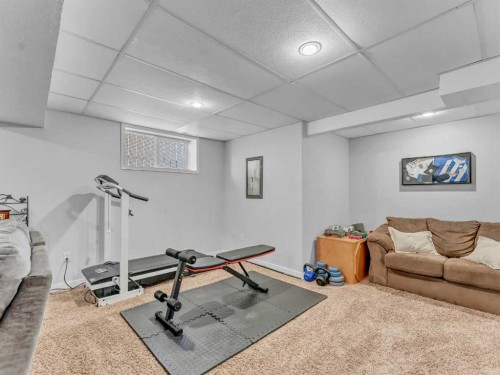 32 Spruce Close Se, Medicine Hat, AB - Indoor Photo Showing Gym Room
