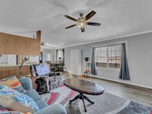 427 Main Street North, Redcliff, AB - Indoor Photo Showing Living Room