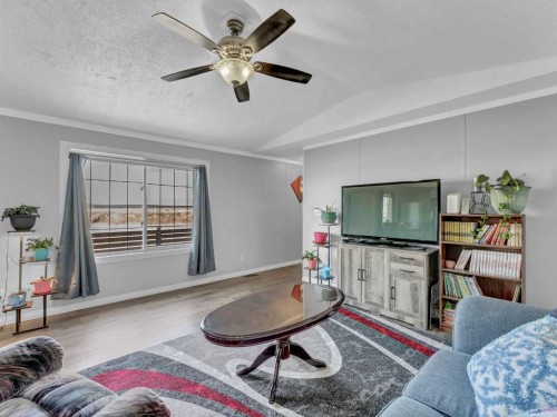 427 Main Street North, Redcliff, AB - Indoor Photo Showing Living Room