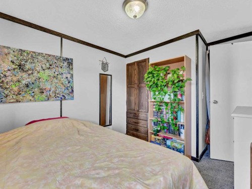 427 Main Street North, Redcliff, AB - Indoor Photo Showing Bedroom