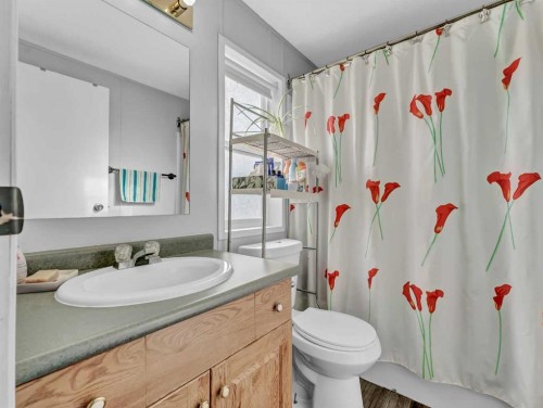 427 Main Street North, Redcliff, AB - Indoor Photo Showing Bathroom