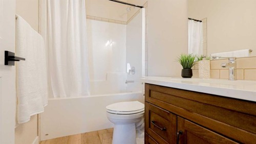 171 Parkview Crescent West, Bow Island, AB - Indoor Photo Showing Bathroom