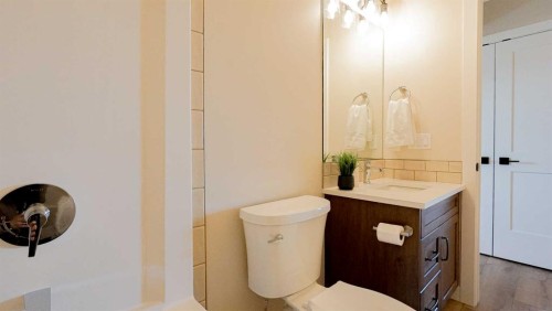 173 Parkview Crescent West, Bow Island, AB - Indoor Photo Showing Bathroom