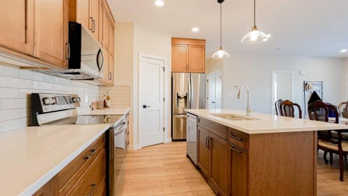 173 Parkview Crescent West, Bow Island, AB - Indoor Photo Showing Kitchen With Double Sink With Upgraded Kitchen