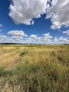 Lot 6-12003 Range Road 60A  Rural Cypress County, AB T1A 0H5