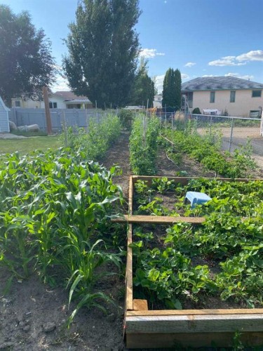 14 Smith Close Se, Medicine Hat, AB - Outdoor