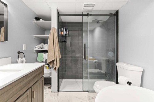 721 4 Avenue, Dunmore, AB - Indoor Photo Showing Bathroom