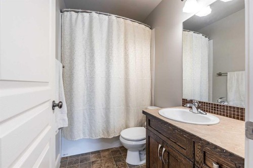 8 Terrace Circle Ne, Medicine Hat, AB - Indoor Photo Showing Bathroom